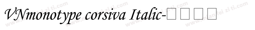 VNmonotype corsiva Italic字体转换